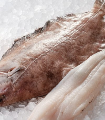 Svensk rödtunga för restaurangverksamhet