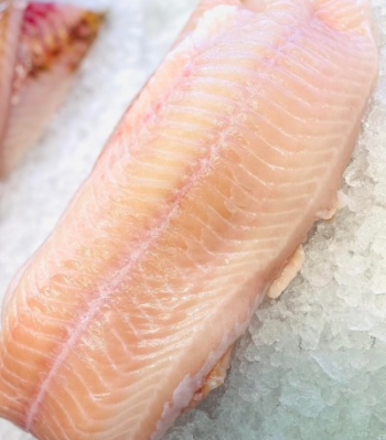 Havskatt för restaurangverksamhet