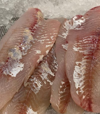 Gösfilé för restaurangverksamhet