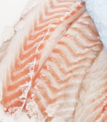 Torsk för restaurangverksamhet